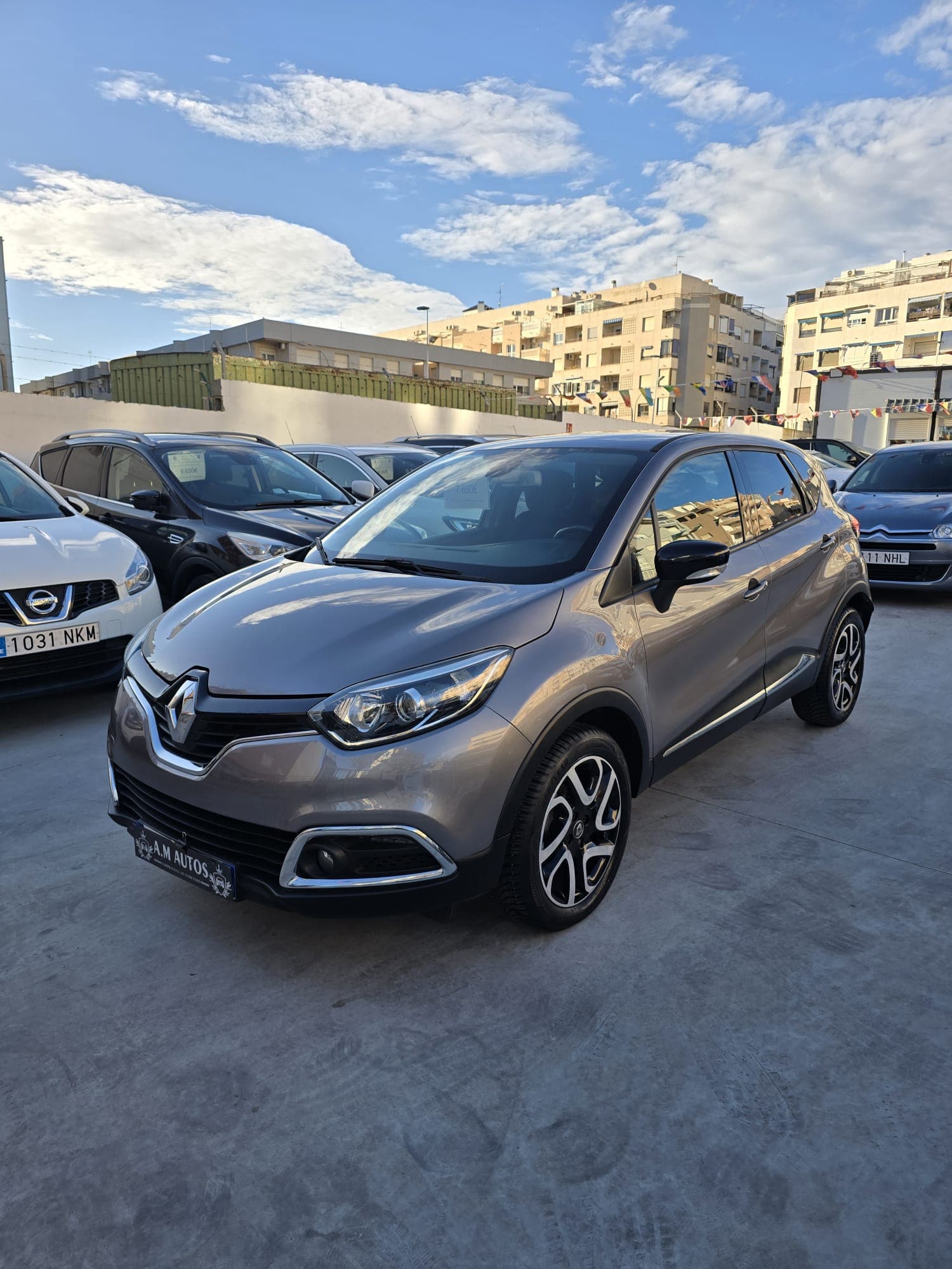 RENALT CAPTUR